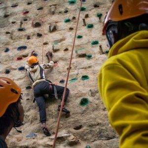 Climbing Wall Climbing Wall - Savage Wilderness