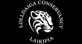 Lolldaiga Conservancy - corporate team building in Kenya