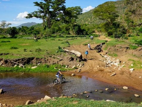 mountain bikes