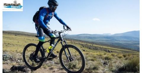 mountain bikes