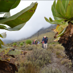Mt kenya